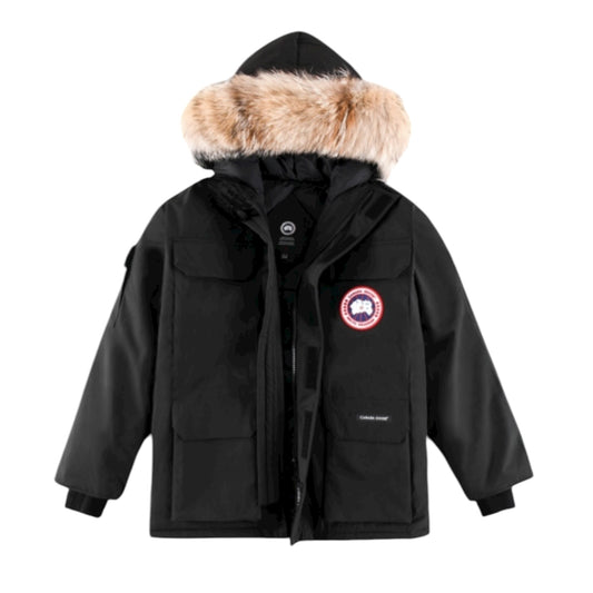 Canada goose